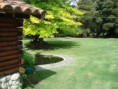 /album/fotogaleria-nuestras-cabanas/pinar07-jpg1/
